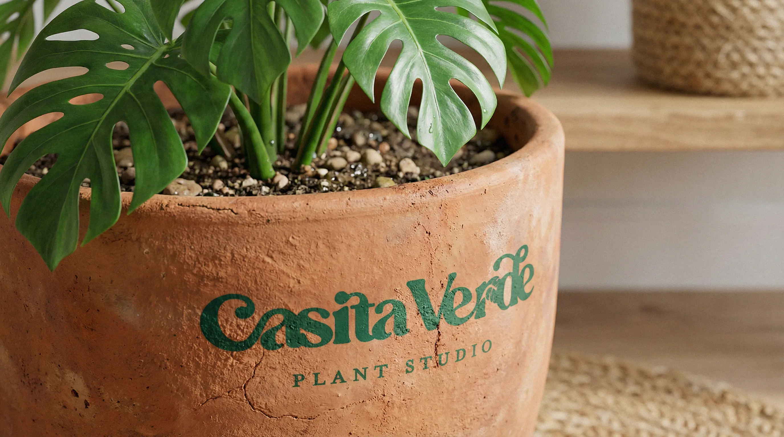 Casita Verde custom branded plant pot