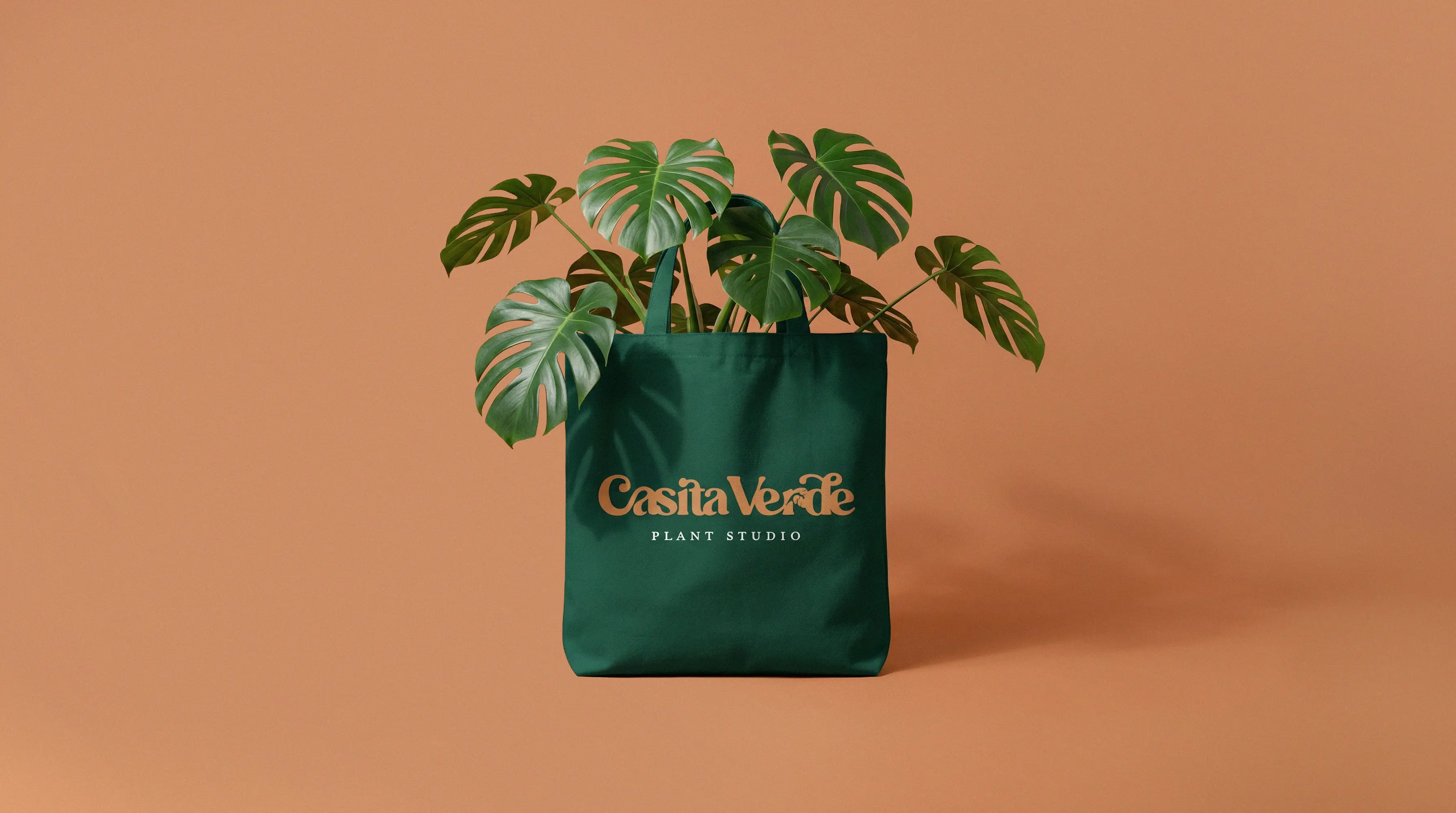 Casita Verde tote bag design